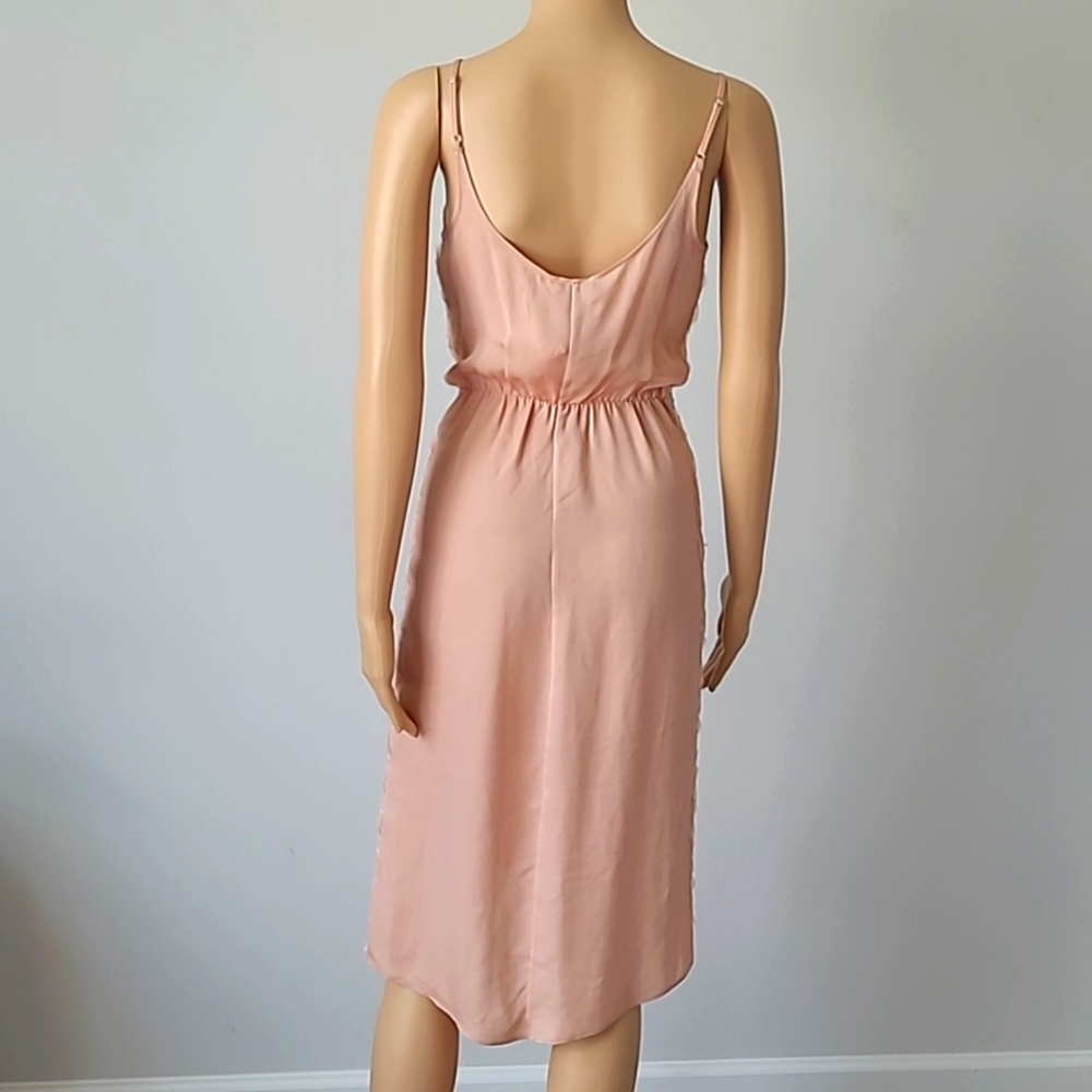 Fleur du mal Sheer Pink Dress - Picture 5 of 9